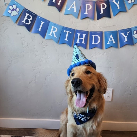 Meet Your Posher Lexie 💗 - Picture 3 of 3